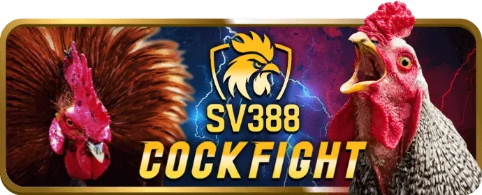 Đa dạng môn thể thao và giải đấu tại 2ubet